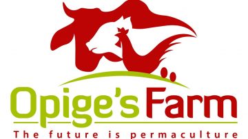 Welcome To Opige’s Farm